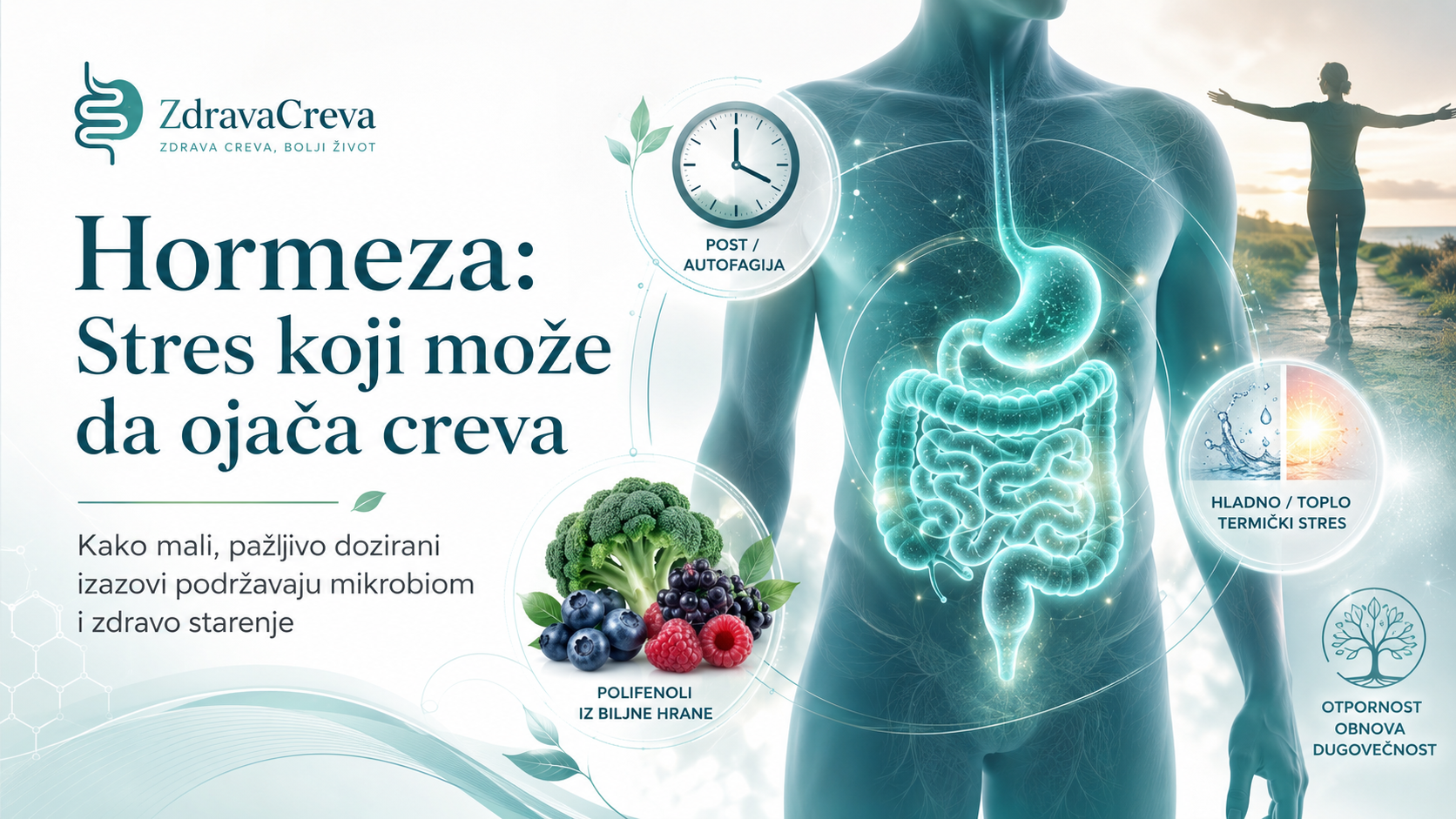 Hormeza: stres koji može da ojača creva